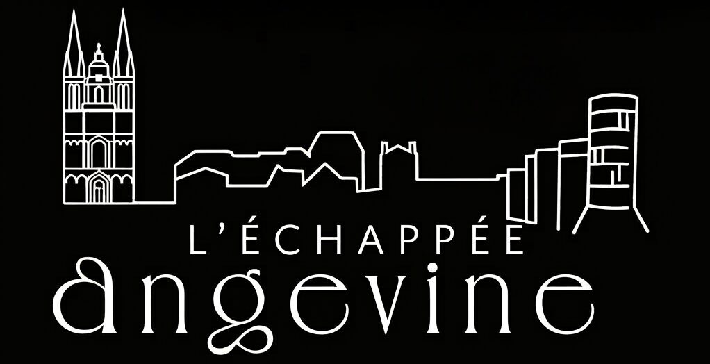 Location vélo et vélo électrique Angers